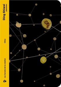 Ding shiwei, plasticien