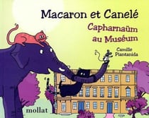 Macaron et Canele : capharnaüm au muséum