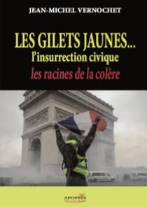 Les gilets jaunes... l'insurrection civique - les racines de la colère