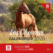 Les Chevaux : Calendrier (édition 2026)