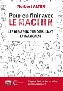 Pour en finir avec le machin : Les désarrois d'un consultant en management