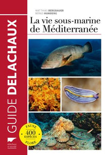 La vie sous-marine de Méditerranée