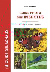 Guide Delachaux : Guide photo des insectes : Adultes, larves ou chrysalides