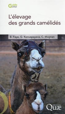 L'élevage des grands camélidés
