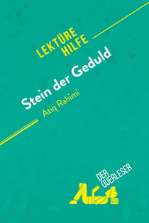Stein der Geduld von Atiq Rahimi (Lektürehilfe) : Detaillierte Zusammenfassung, Personenanalyse und Interpretation