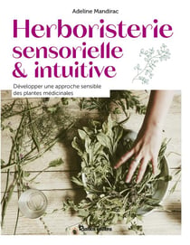 Herboristerie sensorielle et intuitive : développer une approche sensible des plantes médicinales