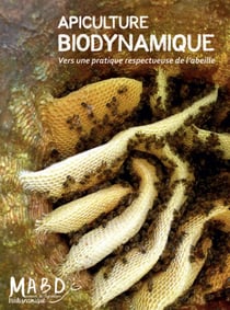 Apiculture biodynamique - vers une pratique respectueuse de l'abeille