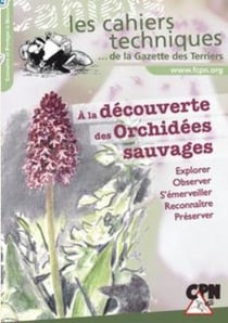 À la découverte des Orchidées sauvages