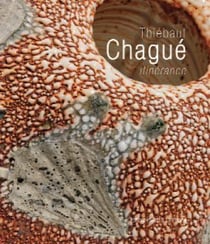Thiébaut Chagué, itinérance