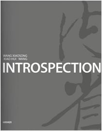 Introspection xiao hui wang, wang xiaosong