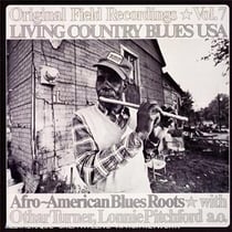 Living country blues USA vol.7 - Afro-American blues