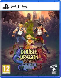 Double Dragon Gaiden : Rise of the Dragons
