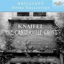 The Canterville ghost