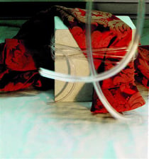 Red brocade