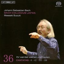 Cantatas /vol.36