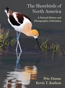 The shorebirds of North America : A natural history and photographic celebration