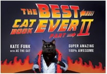 The best cat book ever 2