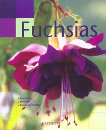 Main verte : fuchsias