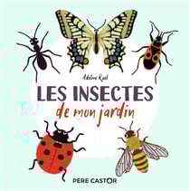 Les insectes de mon jardin