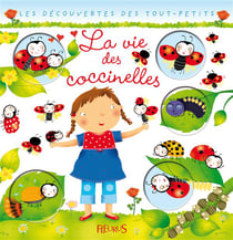 La vie des coccinelles