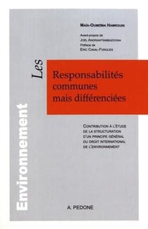 Les responsabilités communes mais différenciées : contribution à l'étude de la structuration d'un principe général du droit international de l'environnement