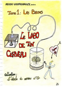 Le labo de ton cerveau - les bases