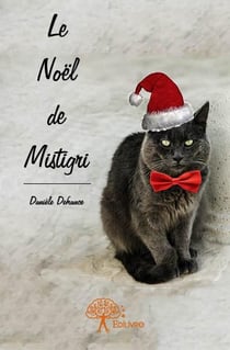 Le Noël de Mistigri