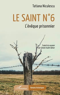 Le saint n° 6 : L'évêque prisonnier
