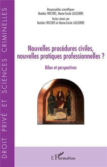 Nouvelles procédures civiles, nouvelles pratiques professionnelles ?  bilan et perspectives