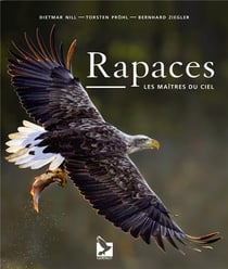 Rapaces - les maîtres du ciel
