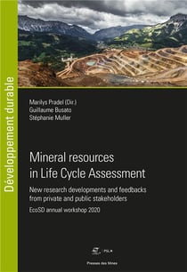 Mineral resources in life cycle assessment : new research developments and feedbacks from private and public stakeholders - EcoSD annual workshop 2020