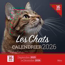 Les Chats : Calendrier (édition 2026)