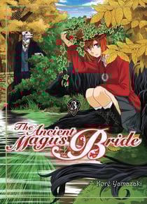 The ancient magus bride Tome 3