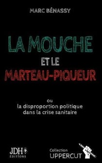 La mouche et le marteau-piqueur : ou la disproportion politique dans la crise sanitaire