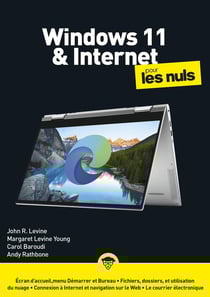 Windows 11 et internet mégapoche pour les nuls
