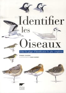 Identifier les oiseaux - éviter les pièges d'identification les plus complexes