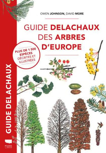 Guide d'achat de lumières de Noël - Décors Véronneau