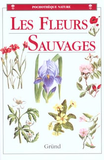Les fleurs sauvages