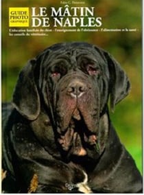 Le mâtin de naples