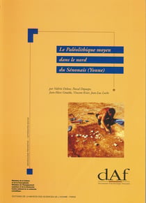 Le Paléolithique moyen dans le nord du Sénonais (Yonne) : Contexte géomorphologique, industries lithiques et chronostratigraphie