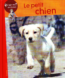 Le petit chien