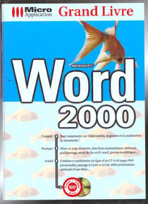 Grand livre word 2000