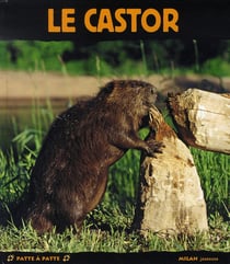 Le castor