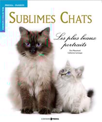Sublimes chats - les plus beaux portraits