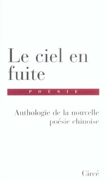 Ciel en fuite (le)