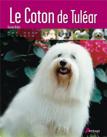 Le coton de tulear