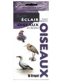 Guide éclair : oiseaux du Québec