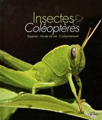 Insectes et coléoptères