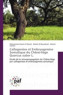 Callogenese et embryogenese Somatique du Chène-liège Quercus suber L. : Etude de la micropropagation du Chène-liège par callogenèse et embryogenèse somatique