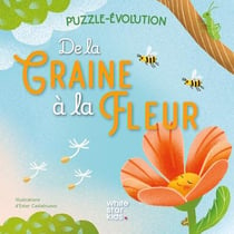 Puzzle-évolution : De la graine à la fleur